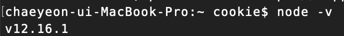 nodeversion